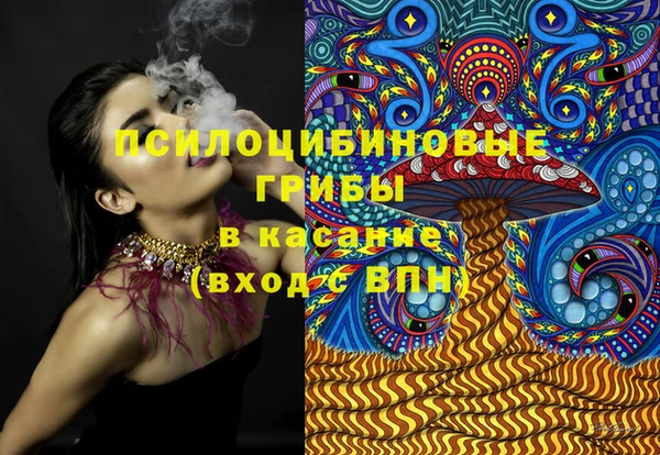 сатива Зеленодольск